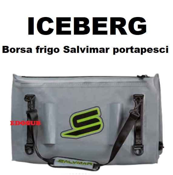 Iceberg borsa hotsell